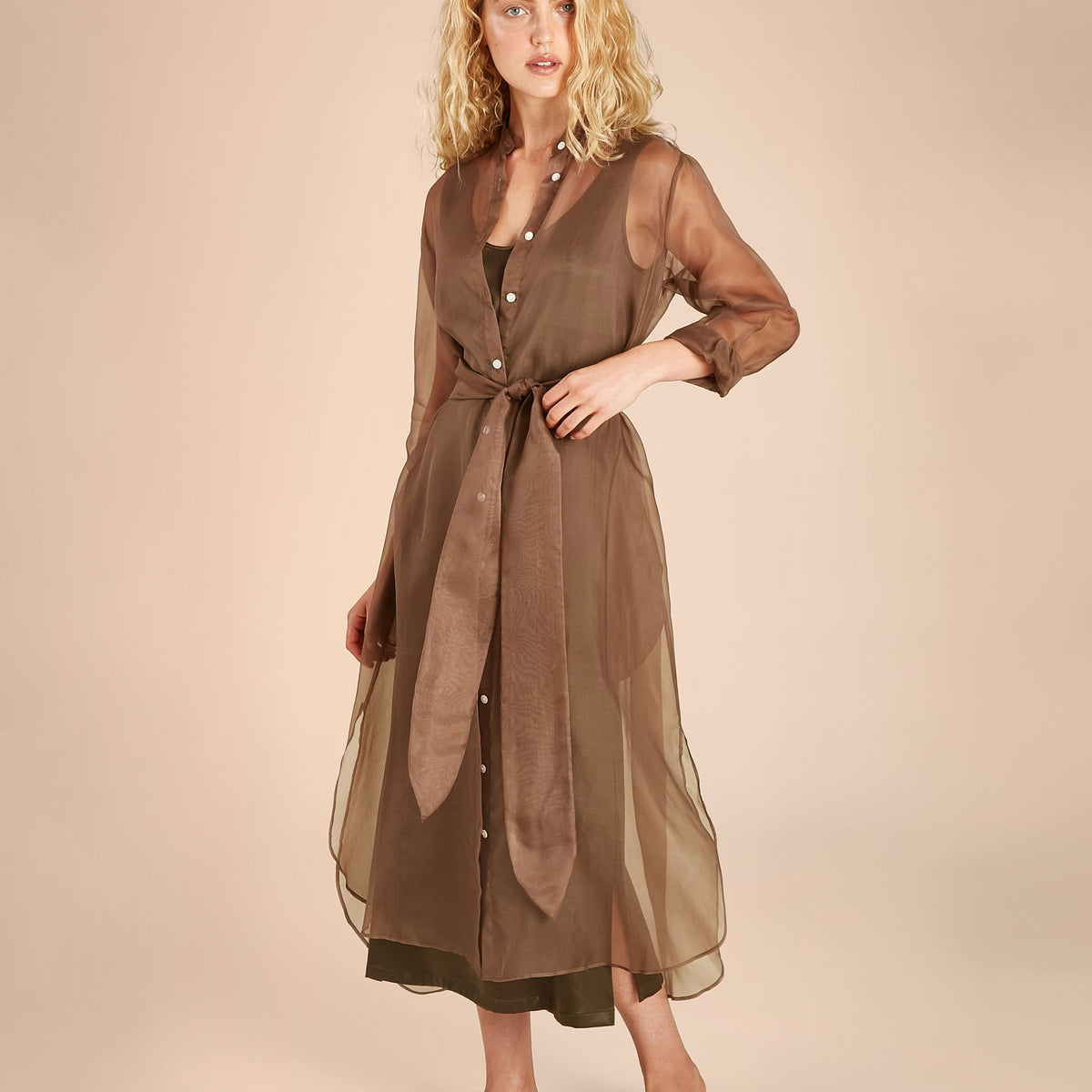 Organza Shirtdress– Rose Room Organza Shirtdress– Rose Room